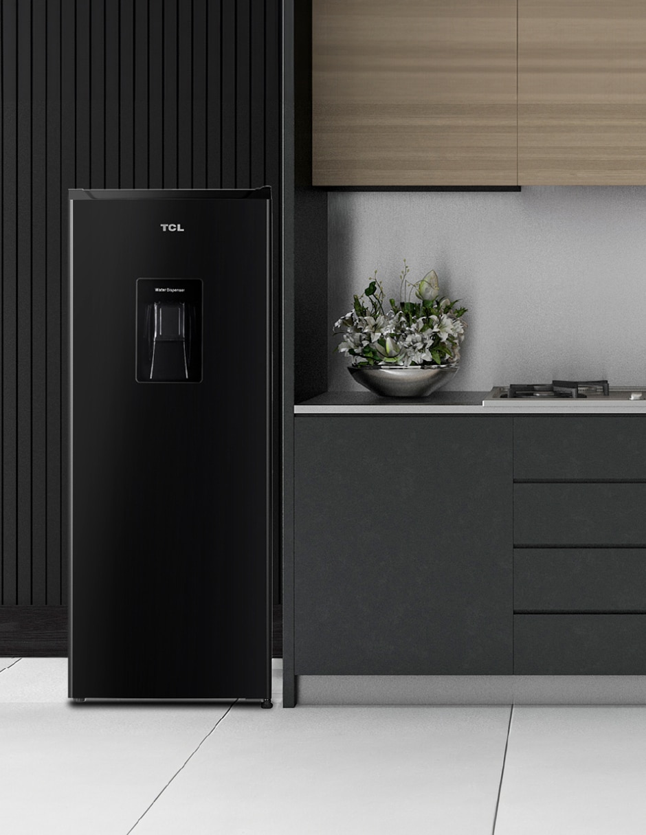 Refrigerador TSD60BW 7 pies cúbicos 4