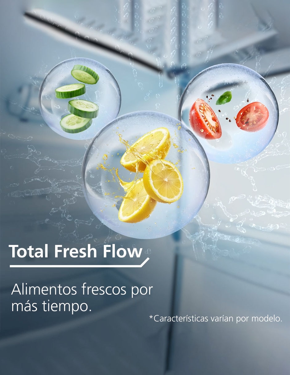 Refrigerador Home Energy Saver Home Energy Saver y No MSM29VNYHFS 4