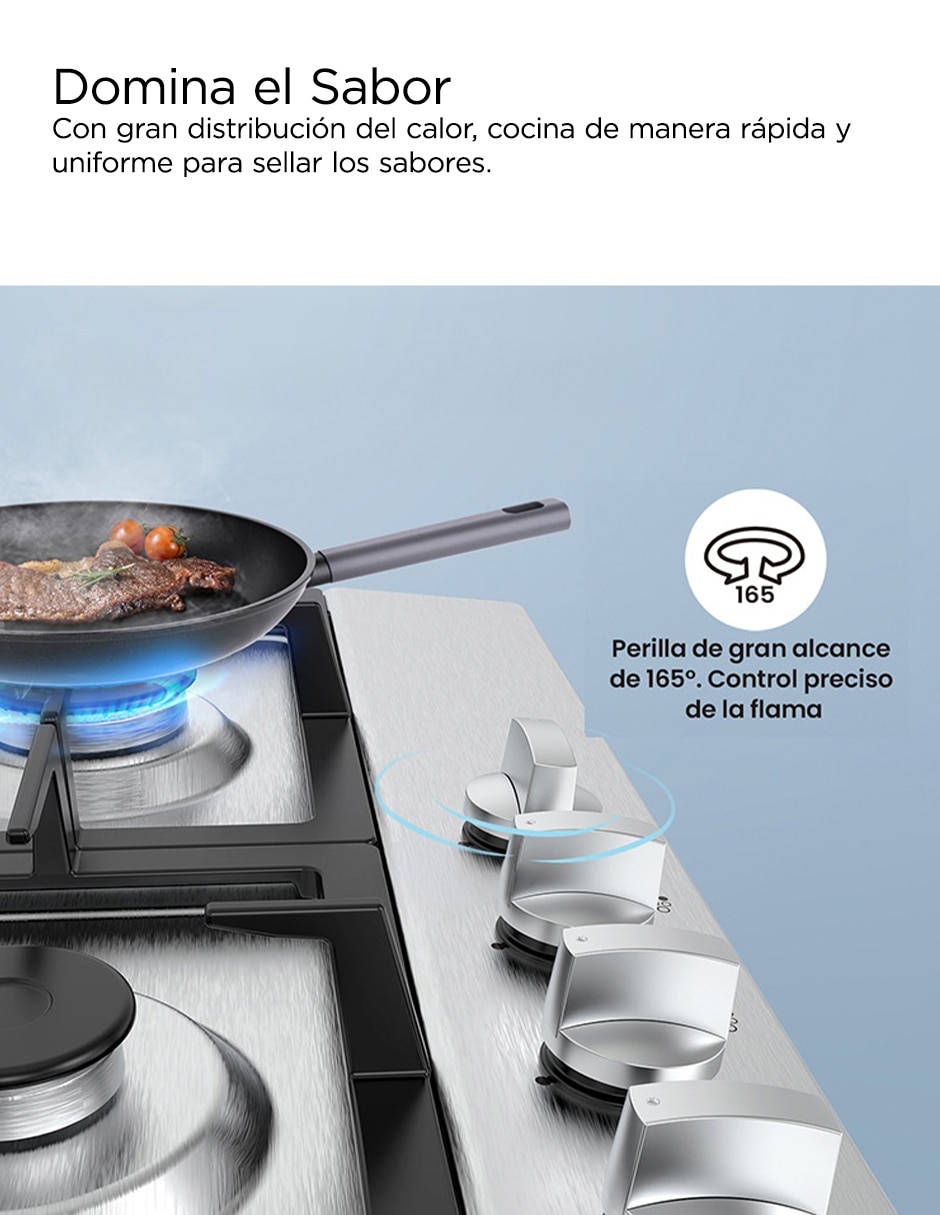 Parrilla de gas duoclassic duoclassic60 de acero y hierro 4